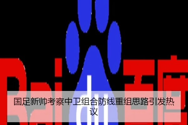 国足新帅考察中卫组合防线重组思路引发热议